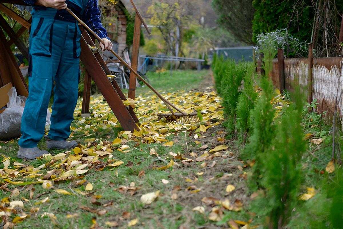 Professional Garden Cleaning Services in Dubai
